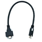Câble USB 3.1 Gen 2 SYSTEM-S 30 cm Type C mâle vers mâle simple double vis 10 Gbit/s 100 W