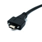 Câble USB 3.1 Gen 2 SYSTEM-S 30 cm Type C mâle vers mâle simple double vis 10 Gbit/s 100 W