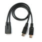 SYSTEM-S Câble USB 2.0 Y 30 cm Mini B Femelle vers Mâle + Adaptateur Micro B Mâle Noir