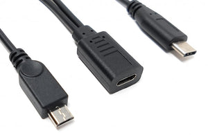 SYSTEM-S USB 3.1 Y cable 25 cm Type C female to Type C and 2.0 Micro B male adapter