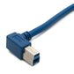 Câble USB 3.0 1,8 m type B mâle vers type A mâle angle en bleu